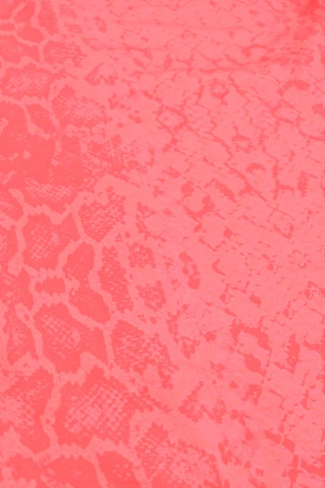 Swim Mai Underwear X BikiniBird Bonita Bottom In BikiniBird Boa 8 Swim Mai Underwear X BikiniBird Bonita Bottom In BikiniBird Boa