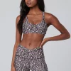 New Saltwater Luxe Aspire Sports Bra In Floral Dots