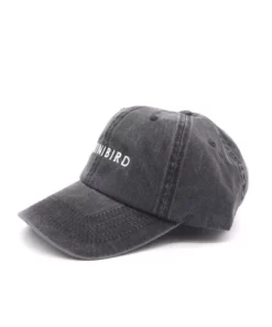 BikiniBird Baseball Hat In Washed Black