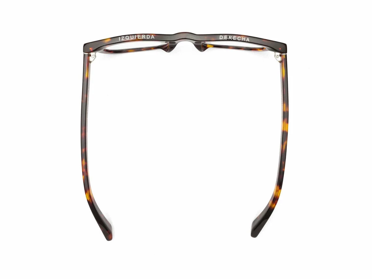 Caddis D28 Reading Glasses In Turtle Sunglasses 7 Caddis D28 Reading Glasses In Turtle Sunglasses