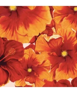 Tag Aloha Pareo In Summer