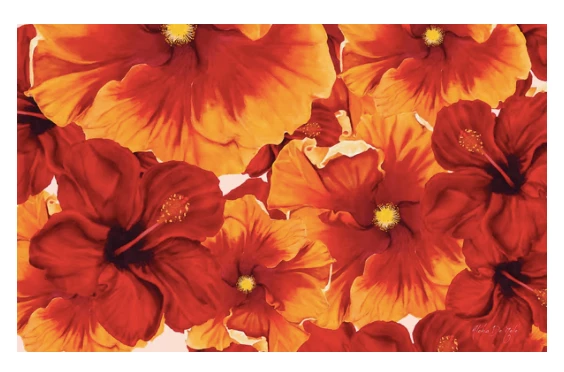 Tag Aloha Pareo In Summer 4 Tag Aloha Pareo In Summer