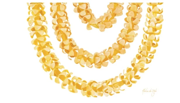 Tag Aloha Pareo In Lei Clothing & Accessories 4 Tag Aloha Pareo In Lei Clothing & Accessories